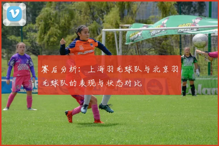 赛后分析：上海羽毛球队与北京羽毛球队的表现与状态对比