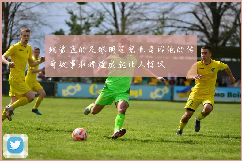 纹鲨鱼的足球明星究竟是谁他的传奇故事和辉煌成就让人惊叹