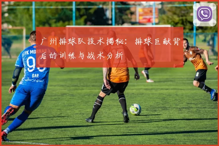 广州排球队技术揭秘：排球巨献背后的训练与战术分析
