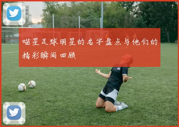 喵星足球明星的名字盘点与他们的精彩瞬间回顾