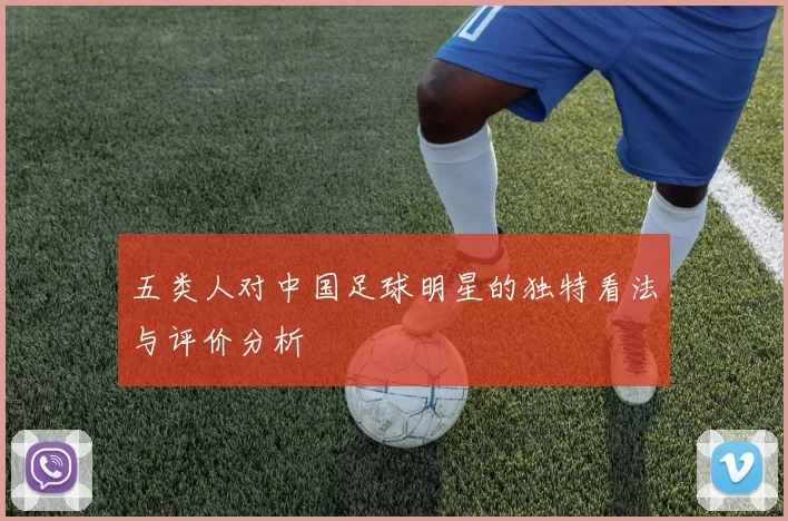 五类人对中国足球明星的独特看法与评价分析
