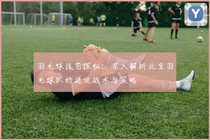 羽毛球技艺探秘：深入解析北京羽毛球队的进攻战术与策略