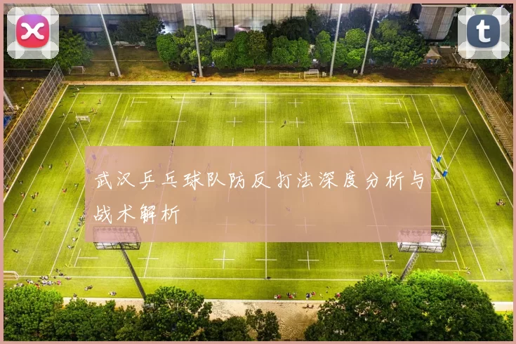 武汉乒乓球队防反打法深度分析与战术解析