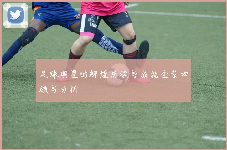 足球明星的辉煌历程与成就全景回顾与分析