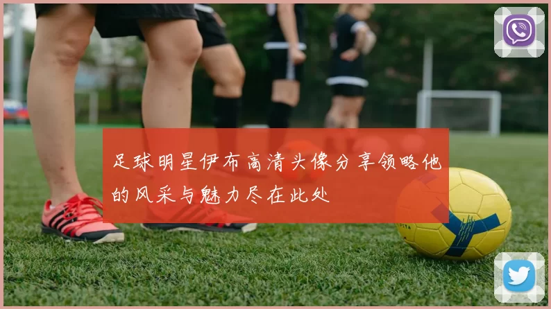 足球明星伊布高清头像分享领略他的风采与魅力尽在此处