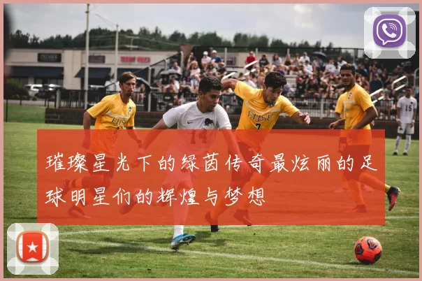 璀璨星光下的绿茵传奇最炫丽的足球明星们的辉煌与梦想
