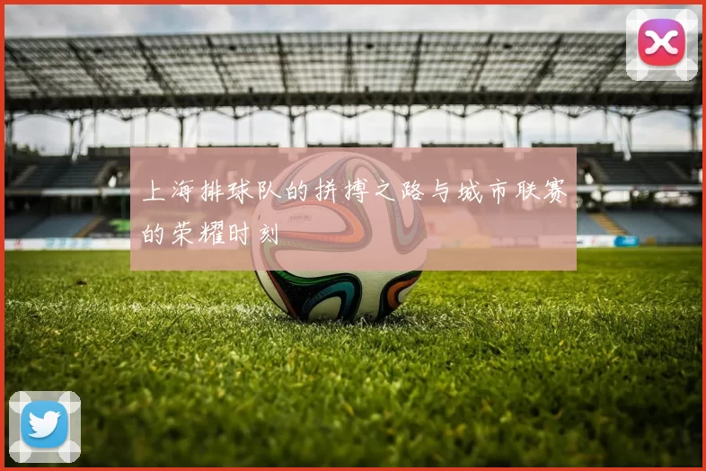 上海排球队的拼搏之路与城市联赛的荣耀时刻