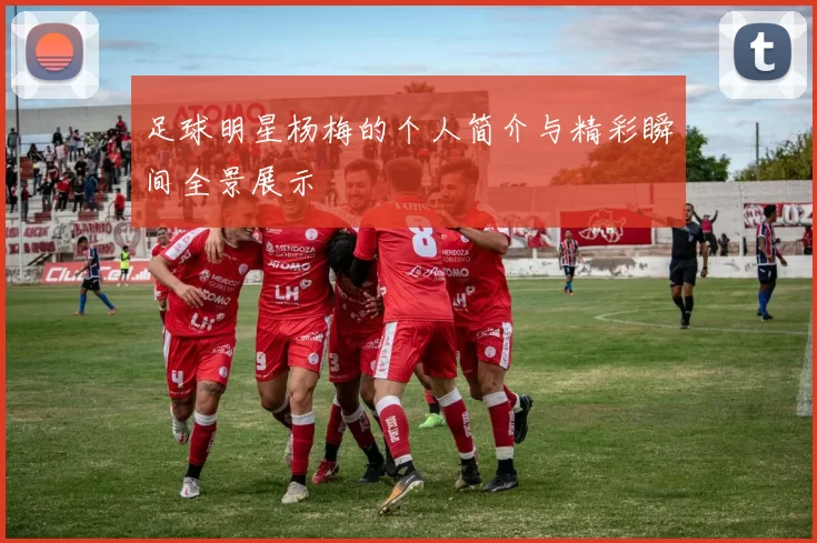 足球明星杨梅的个人简介与精彩瞬间全景展示
