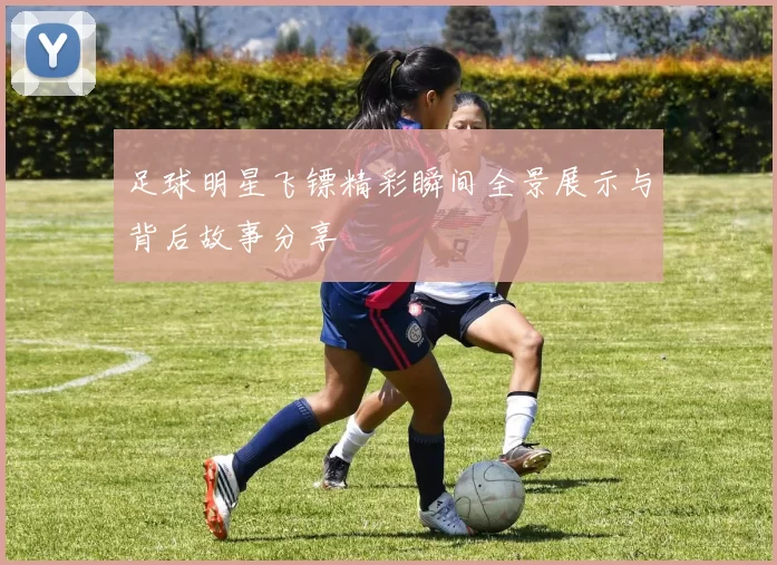 足球明星飞镖精彩瞬间全景展示与背后故事分享