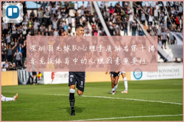 深圳羽毛球队心理素质排名第十揭示竞技体育中的心理因素重要性