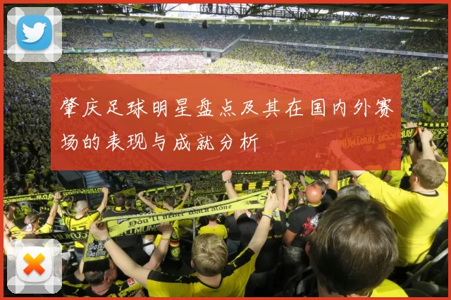 肇庆足球明星盘点及其在国内外赛场的表现与成就分析