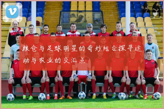 粮仓与足球明星的奇妙结合探寻运动与农业的交汇点