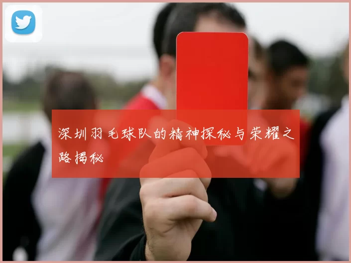 深圳羽毛球队的精神探秘与荣耀之路揭秘