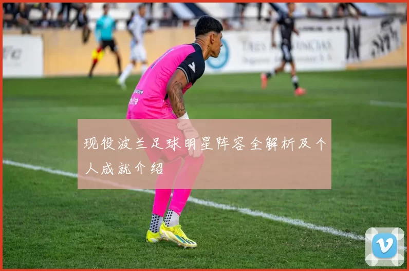 现役波兰足球明星阵容全解析及个人成就介绍