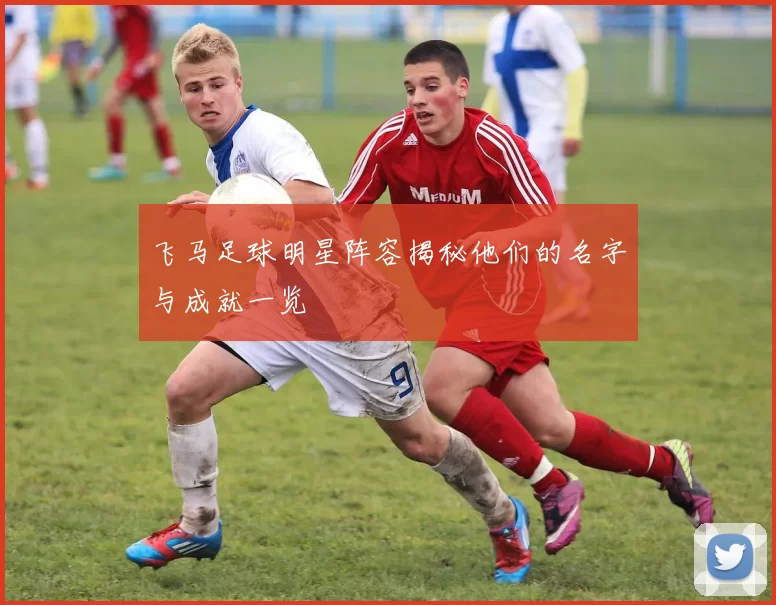 飞马足球明星阵容揭秘他们的名字与成就一览