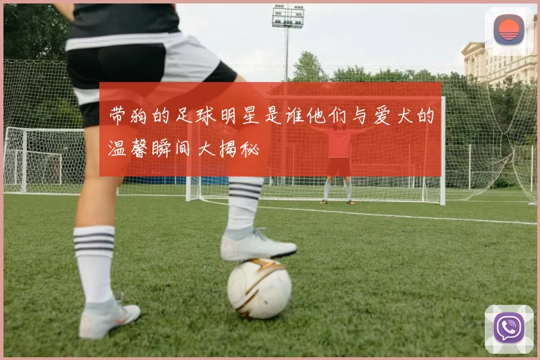 带狗的足球明星是谁他们与爱犬的温馨瞬间大揭秘