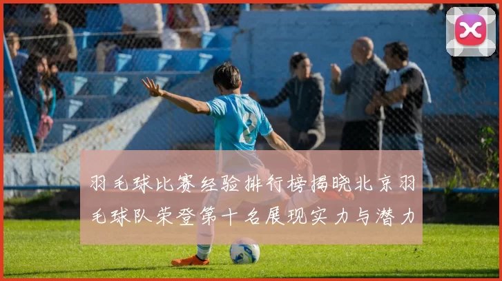 羽毛球比赛经验排行榜揭晓北京羽毛球队荣登第十名展现实力与潜力