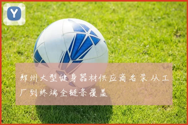 郑州大型健身器材供应商名录 从工厂到终端全链条覆盖