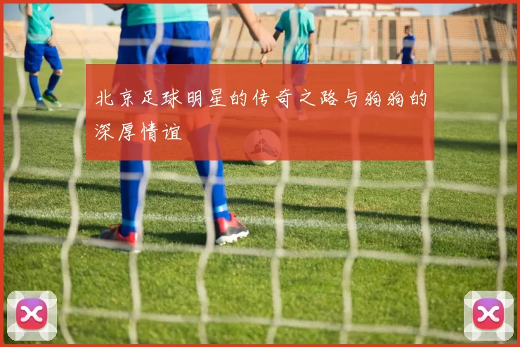 北京足球明星的传奇之路与狗狗的深厚情谊