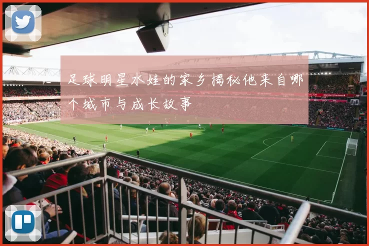 足球明星水娃的家乡揭秘他来自哪个城市与成长故事